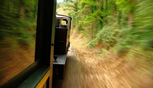 Gran oferta de trenes históricos del Museo Vasco del Ferrocarril este verano.