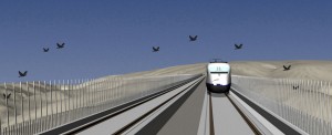 Simulación que representa cómo las nuevas pantallas anticolisión del proyecto Life Impacto Cero modificarían la trayectoria de las aves para que no colisionaran con el tren. Foto: Life Impacto Cero.