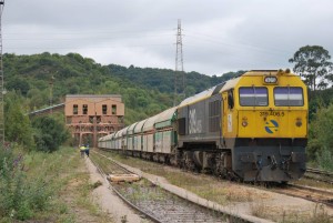 Un tren de mercancías, encabezado por una 319 de Renfe, ya acoplado.