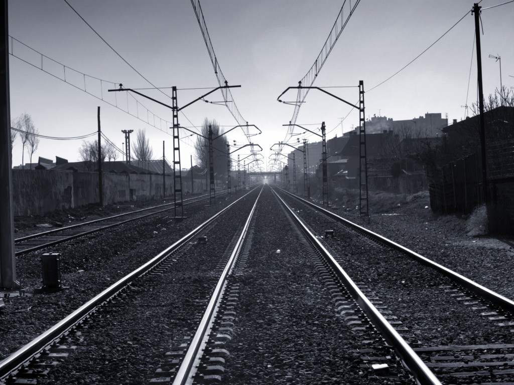 RAMF (Renfe Alquiler de Material Ferroviario) potencia la única rama que por ahora puede tener operativa, la de arrendamiento de vehículos de mercancías. Foto: Foto: *Franja.