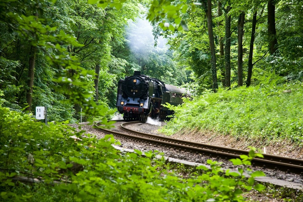 Estrenamos El tren verde, el nuevo apartado de ferrocarril y medio ambiente.