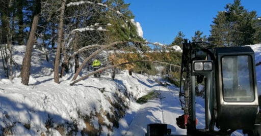 Trabajos de retirada de árboles entre Cuenca y Utiel antes del deshielo. Foto cortesía de Adif.