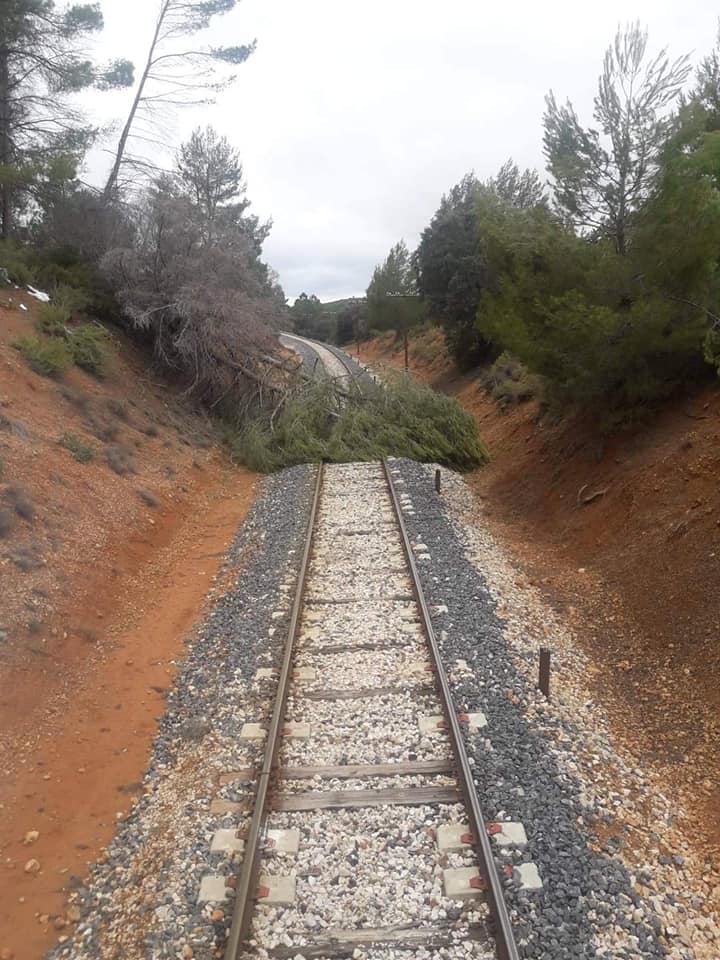 Fotografía de un árbol caído sobre la vía de la línea Cuenca-Utiel difundida por Compromís, en la que se puede ver el mal estado de la infraestructura.