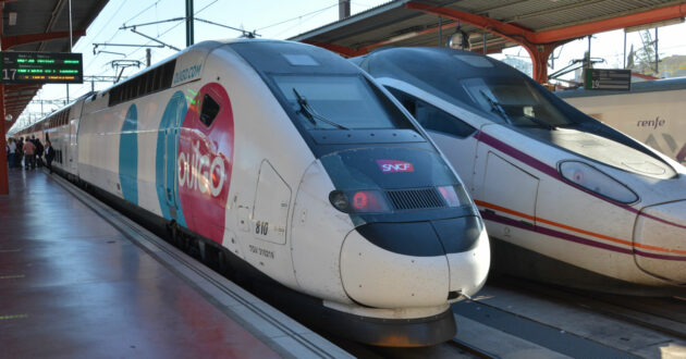 Trenes de Ouigo y Renfe en la estación de Madrid-Chamartín. © MIGUEL BUSTOS.
