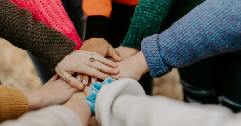 Lanzamos una campaña de apoyo para el crecimiento Trenvista en la que cada aportación es importante. UNSPLASH
