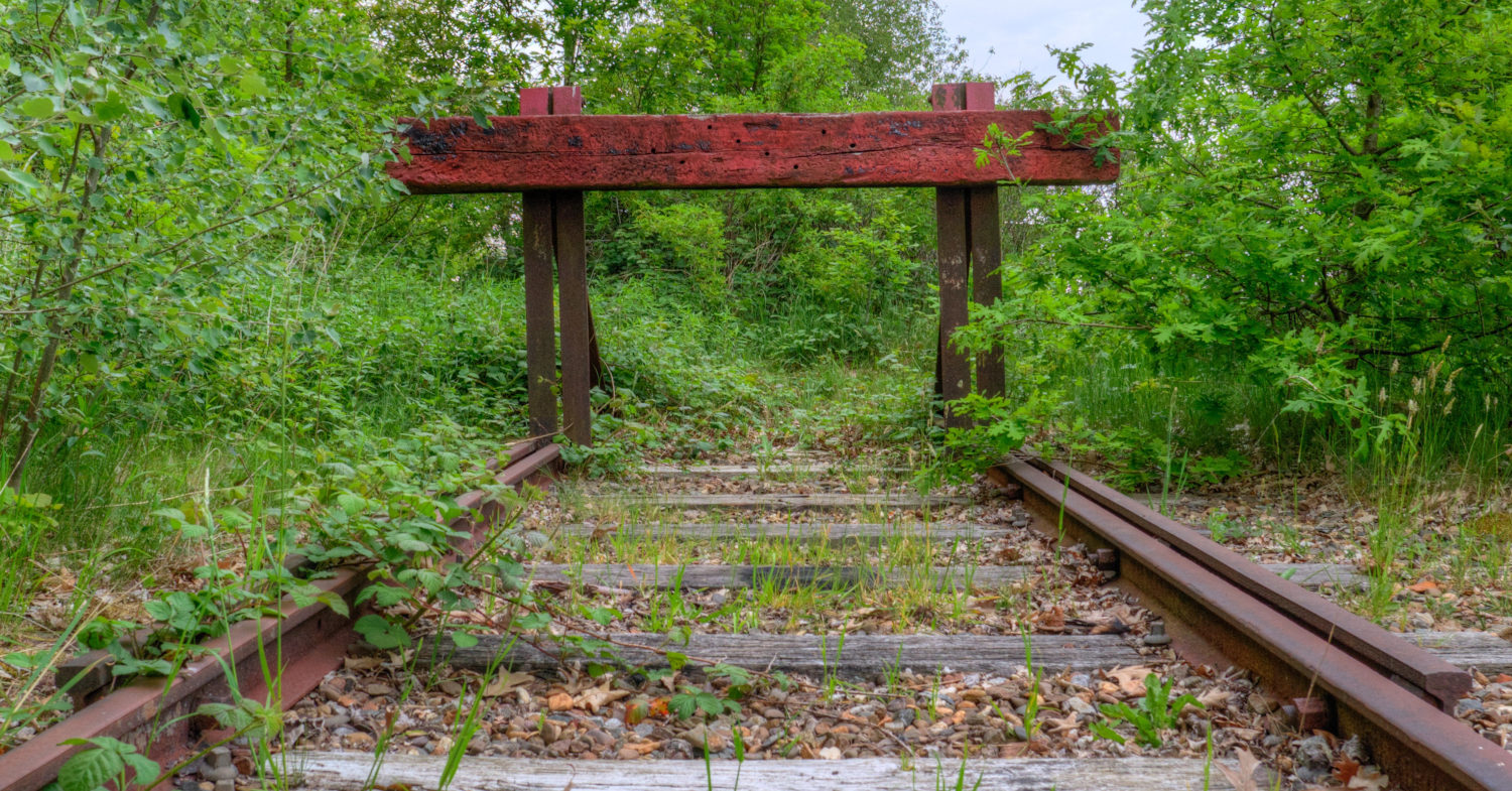 Marcador de posición