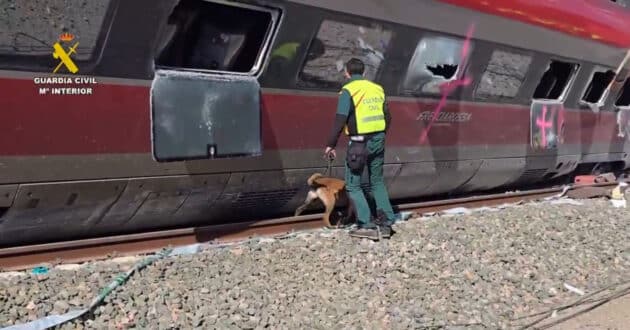 Un agente de la Guardia Civil busca pertenencias de los viajeros con la ayuda de un perro. GUARDIA CIVIL-X.